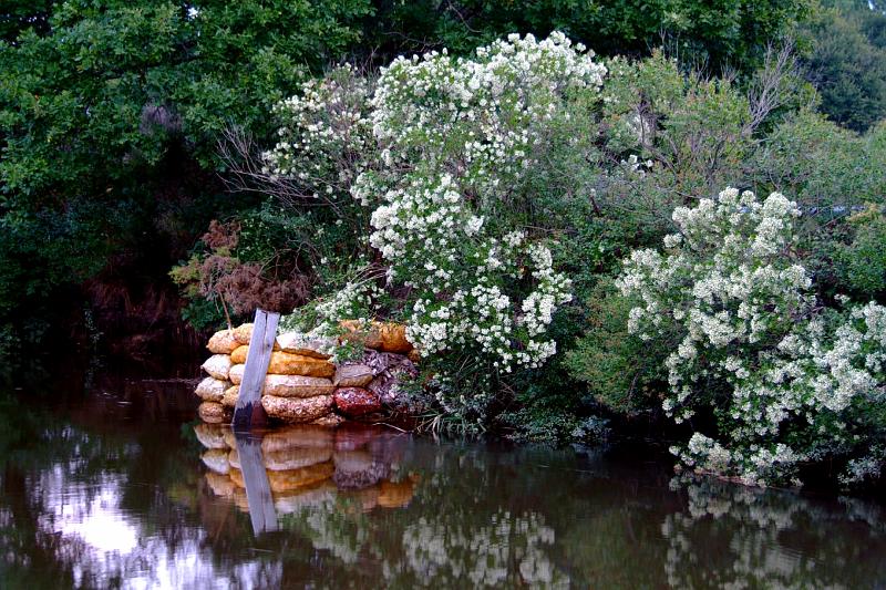 Pibale installation 4.JPG